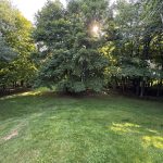 IMG_5037-2.jpeg