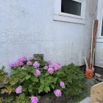 IMG_5038-2.jpeg