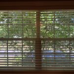 IMG_5992-2.jpeg